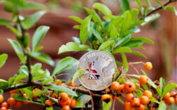 Brexit, EU, inflation