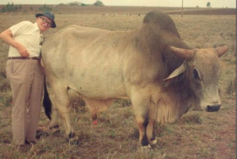 Hayek, Australia, Inflation