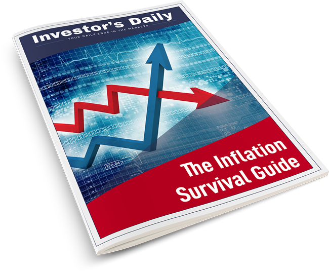 Inflation’S Perfect Timing: The Ultimate Inflation Survival Guide - i022ttj