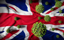 covid, pandemic, Brexiteers, Brexit