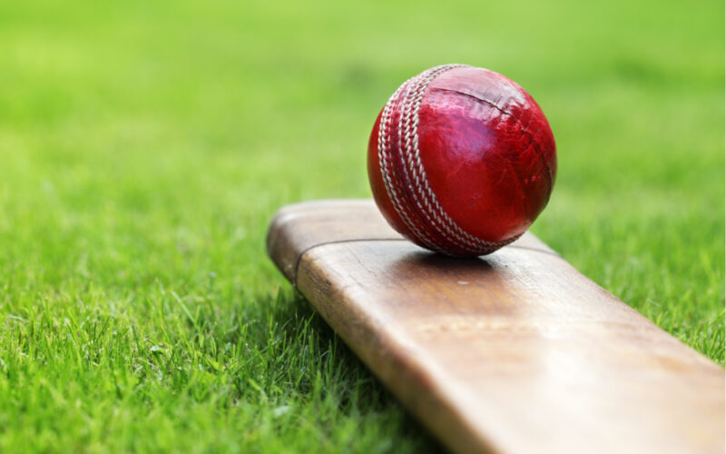 cricket, stockmarket, green energy