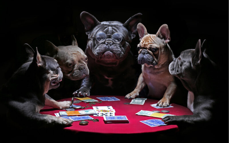 dog money, fiat money, gold, investments