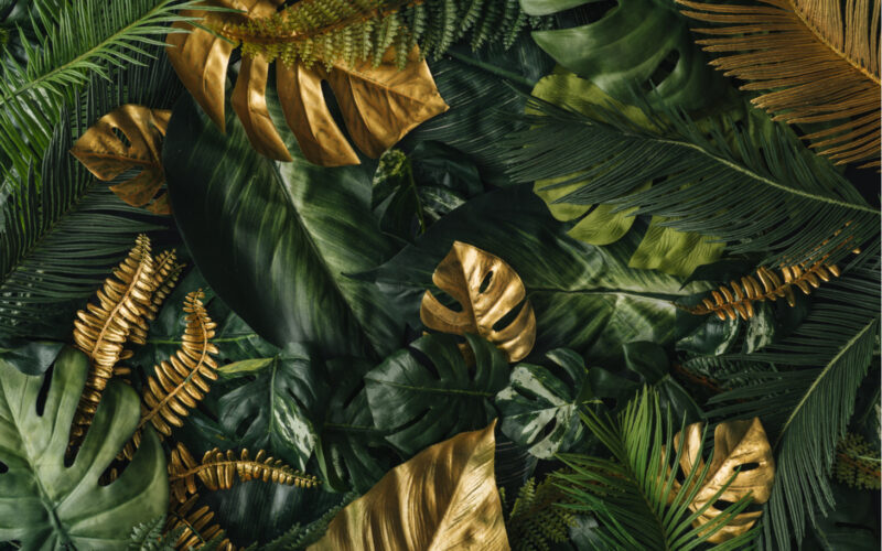 green, gold, green agenda, environmental movement