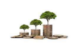 market, investment, sustainable, investments