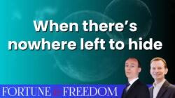 diversification-everything-bubble