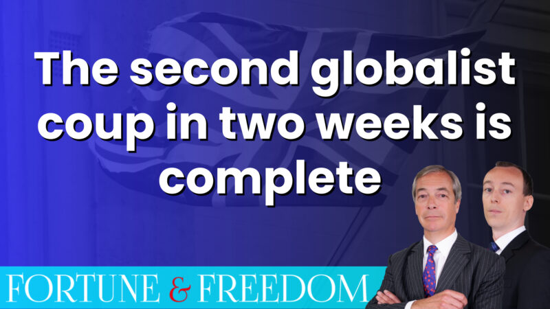 globalist-coup